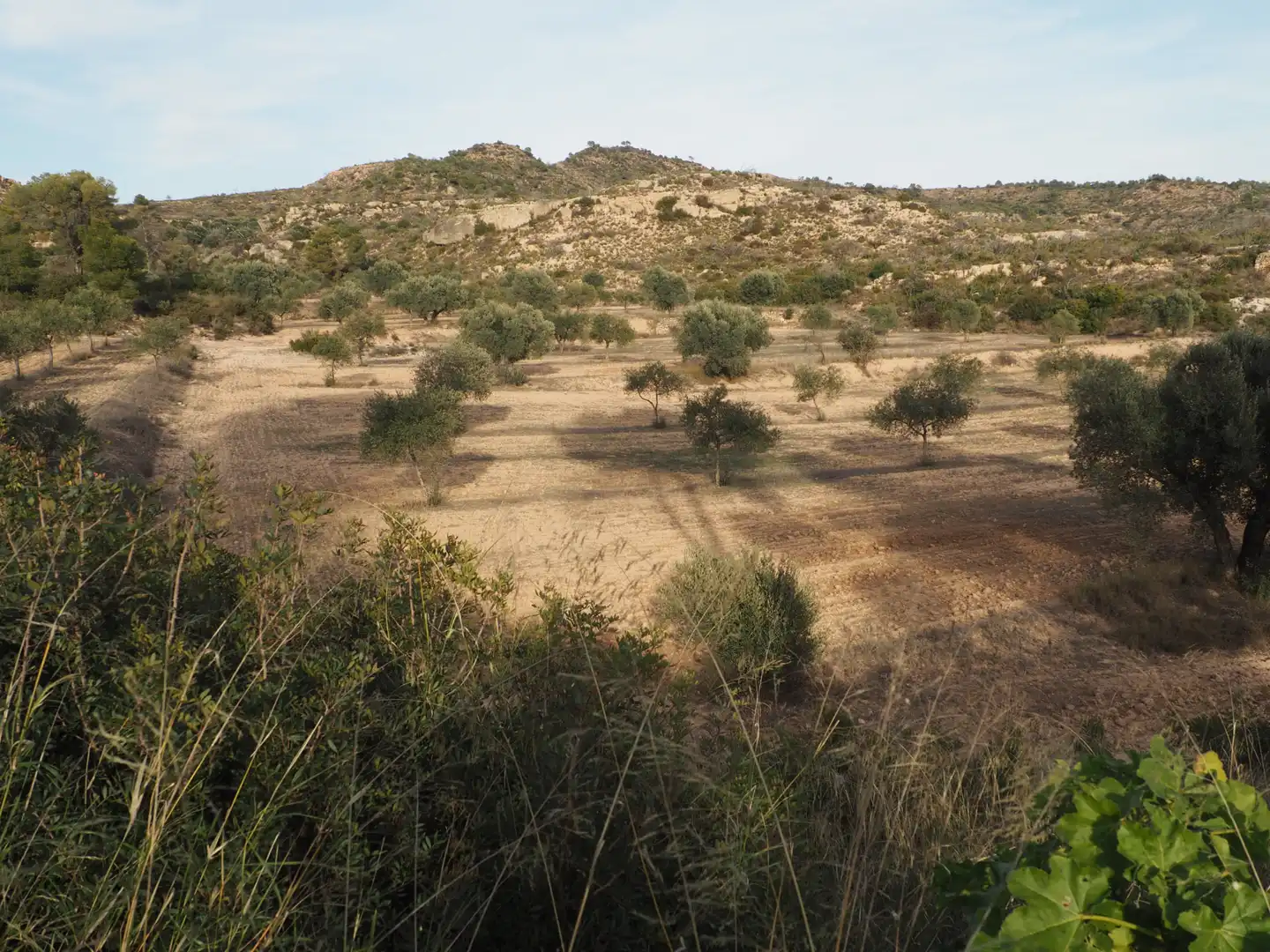 Terreno en venta en Flix