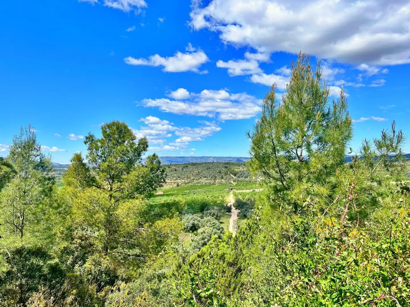 Houses for sale in Flix