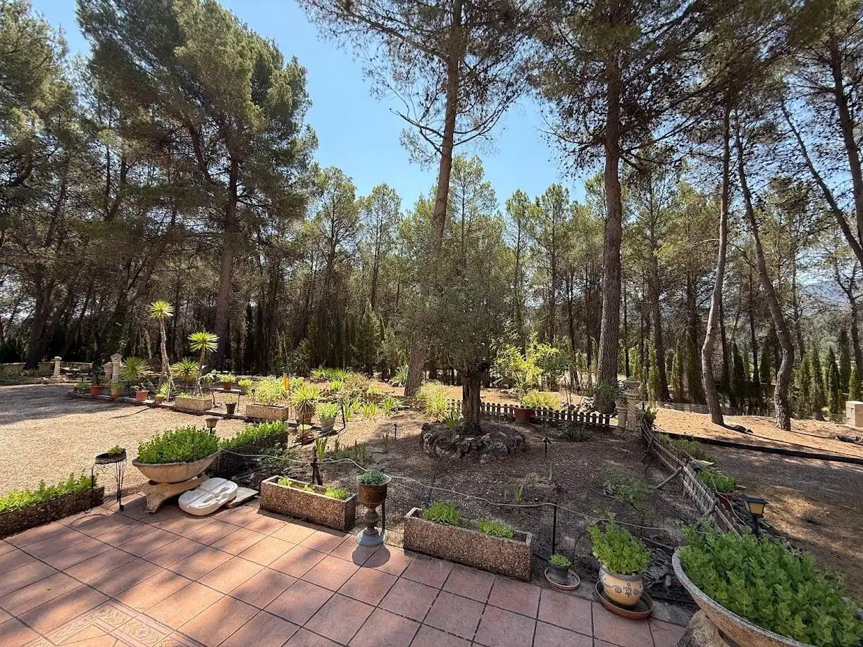 Jardín de Casa o chalet en venta en Alcoy / Alcoi