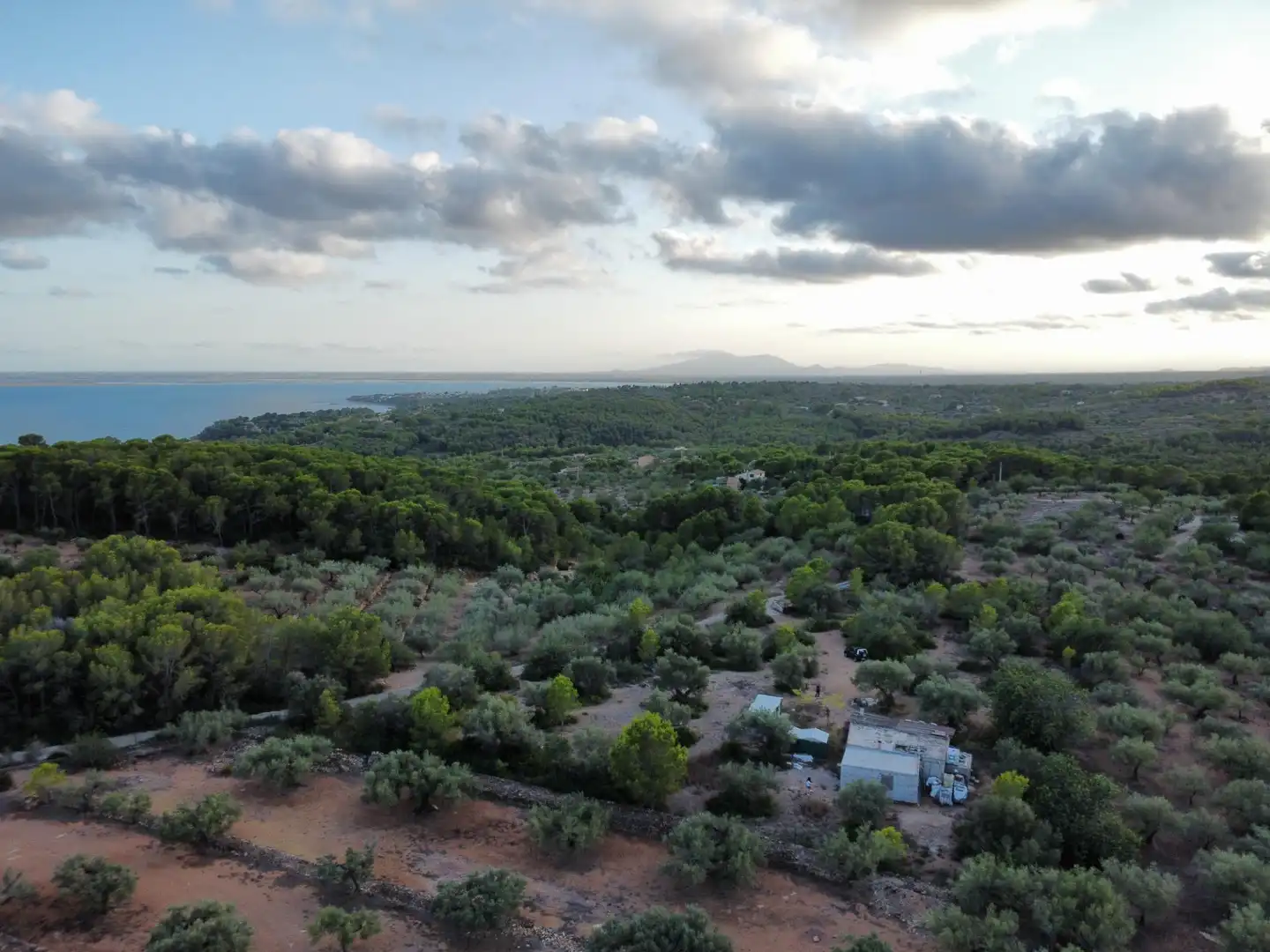Maison rustique à vendre à Roques Daurades - L'Estany, imagen 7