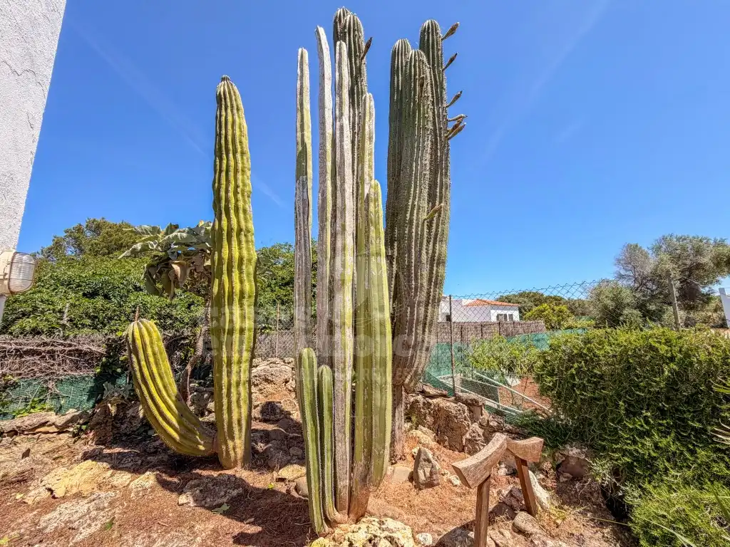 Jardí de Finca rústica en venda en Ciutadella de Menorca amb Aire condicionat i Terrassa