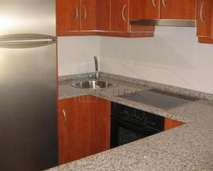 Kitchen of Flat to rent in Ourense Capital 