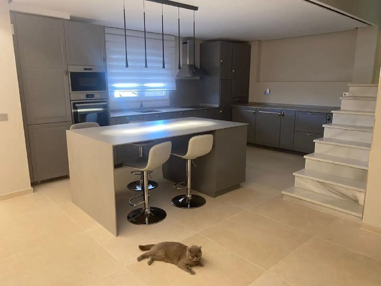 Casa con piscina en venta en Hipódromo - Cerrado del Águila, imagen 6