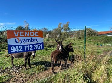 Terrenys i solars en venda a Renedo