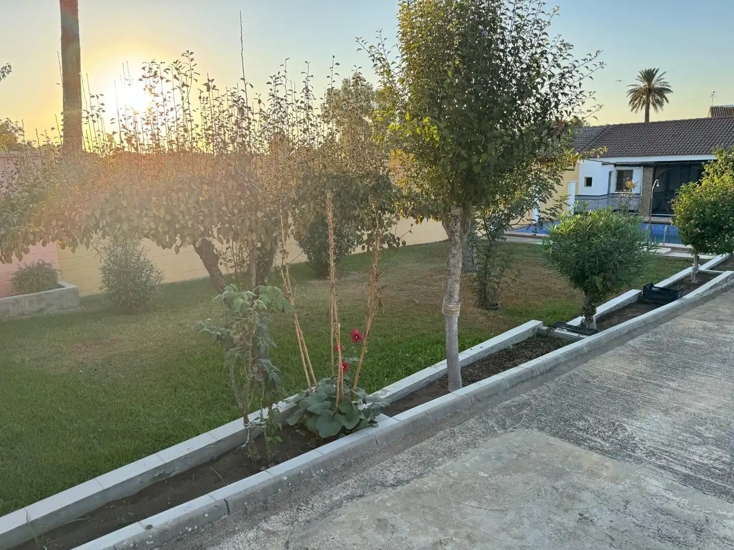Jardín de Finca rústica en venta en Dos Hermanas