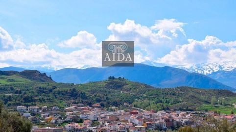 Beas de GranadaTerreno