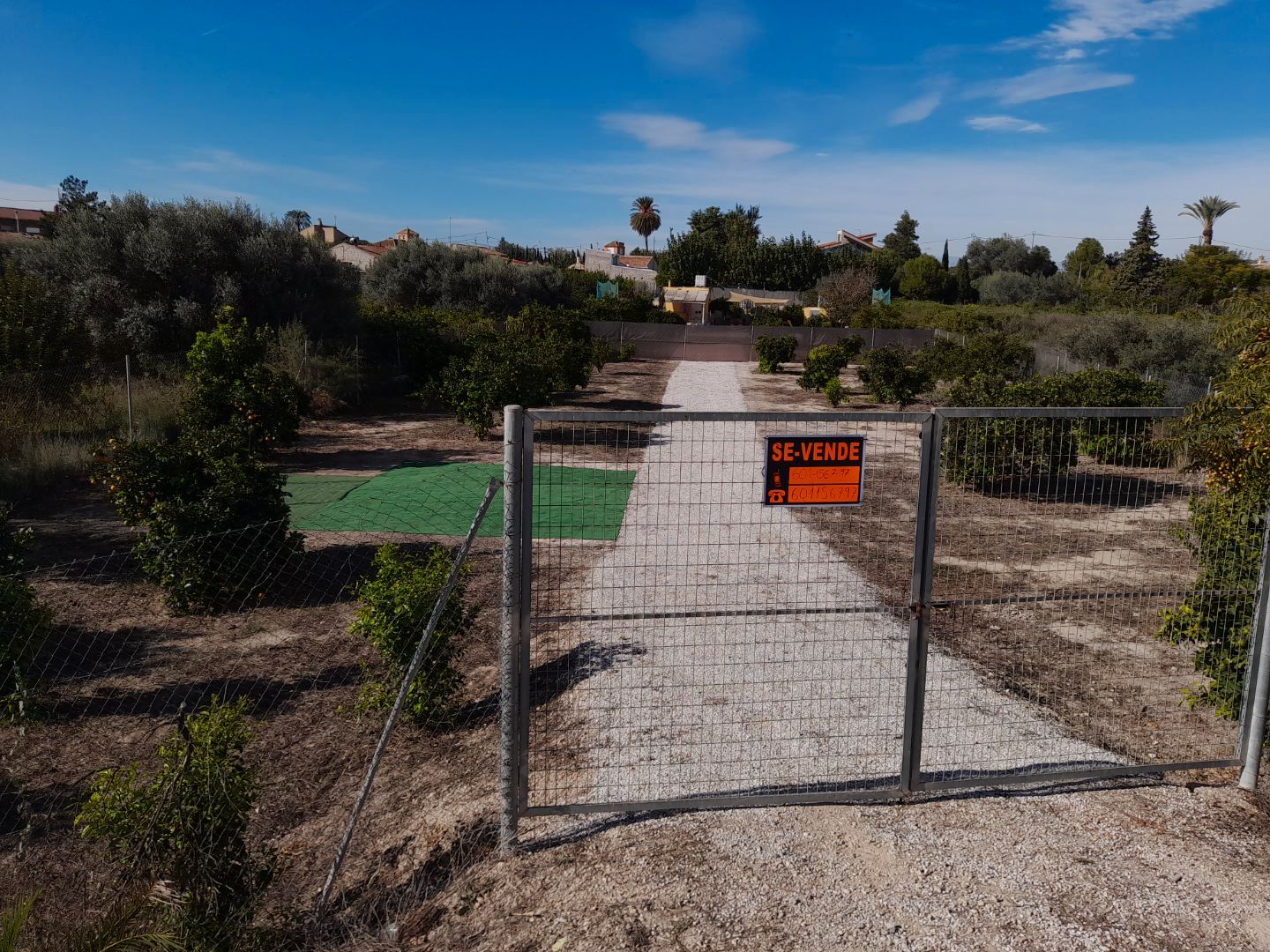 Terreno en venta en  Murcia Capital