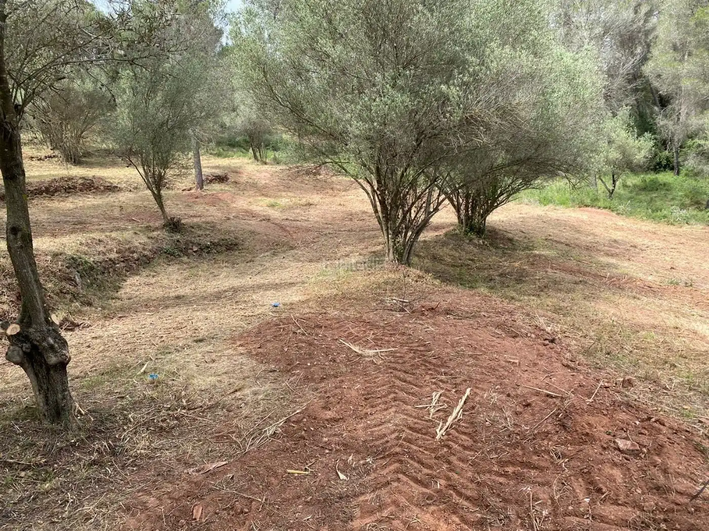 Terreno residencial en venta en Carrer de l'Óssa Major 18, imagen 4