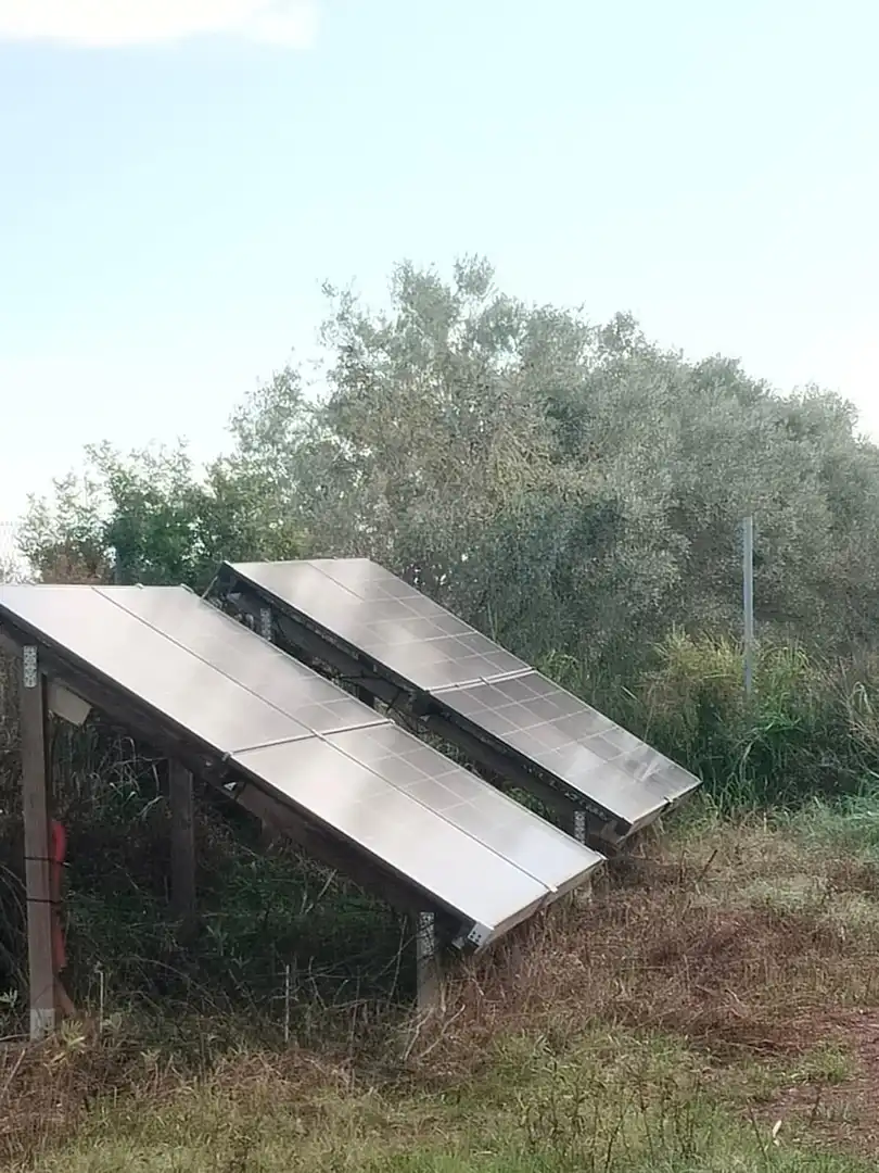 Jardí de Finca rústica en venda en Amposta amb Jardí privat, Terrassa i Moblat
