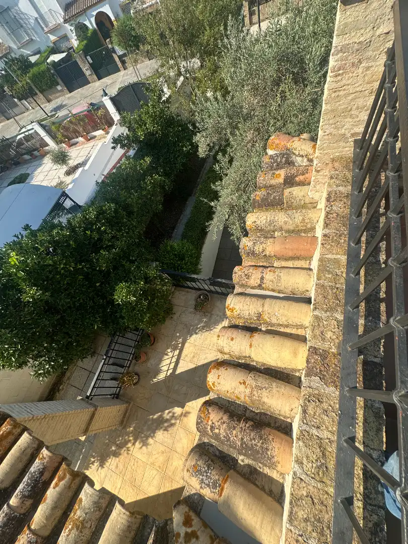 Chalet con terraza en venta en Sanlúcar la Mayor, imagen 16