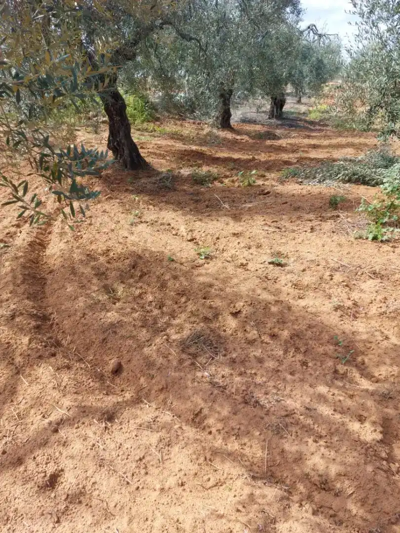 Finca rústica en venda en Pilas