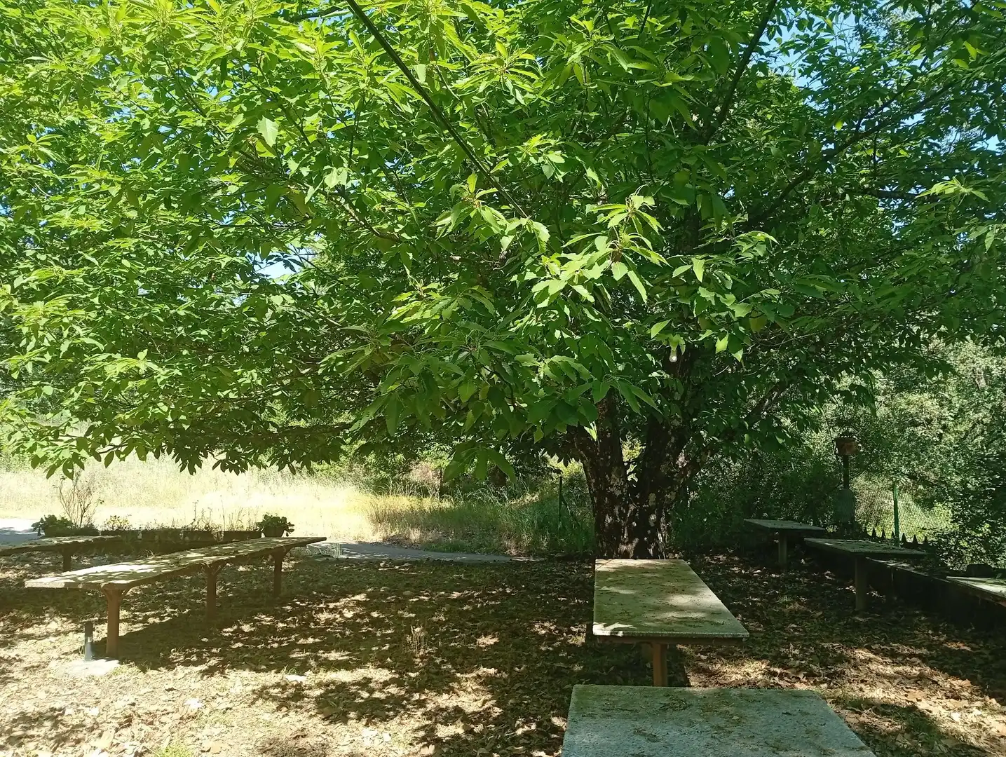 Terreni e lotti in vendita a Villanueva de la Vera, imagen 23