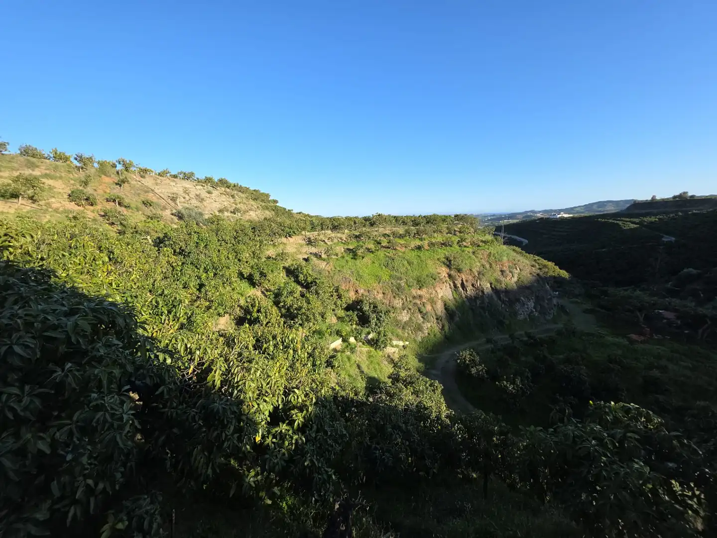 Terreny rústic en venda a Diseminado Atalaya Baja, imagen 7