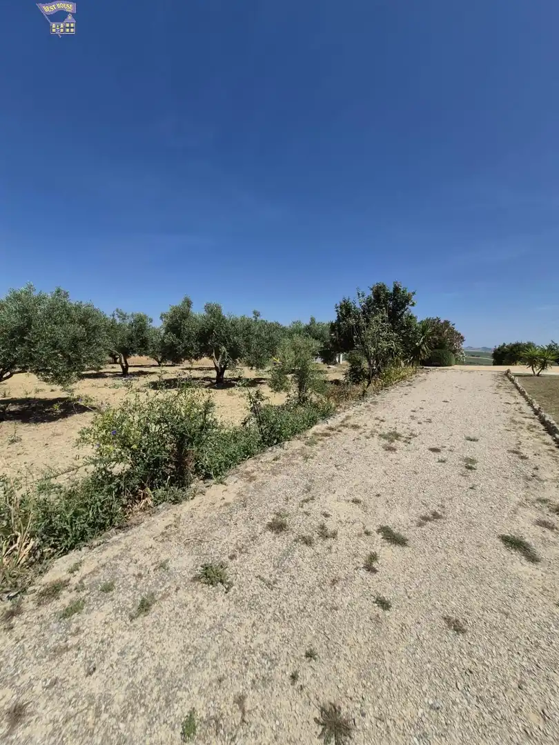 Casa rústica amb jardí en venda a Arcos de la Frontera, imagen 85