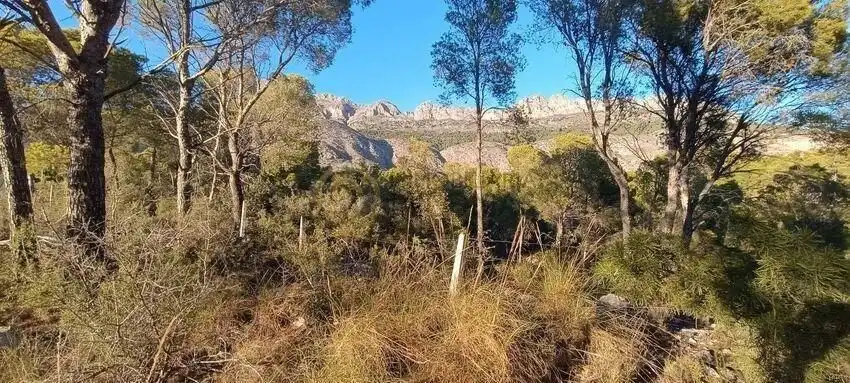 Wohnbaugrundstück zum Verkauf in Altea la Vella, imagen 5