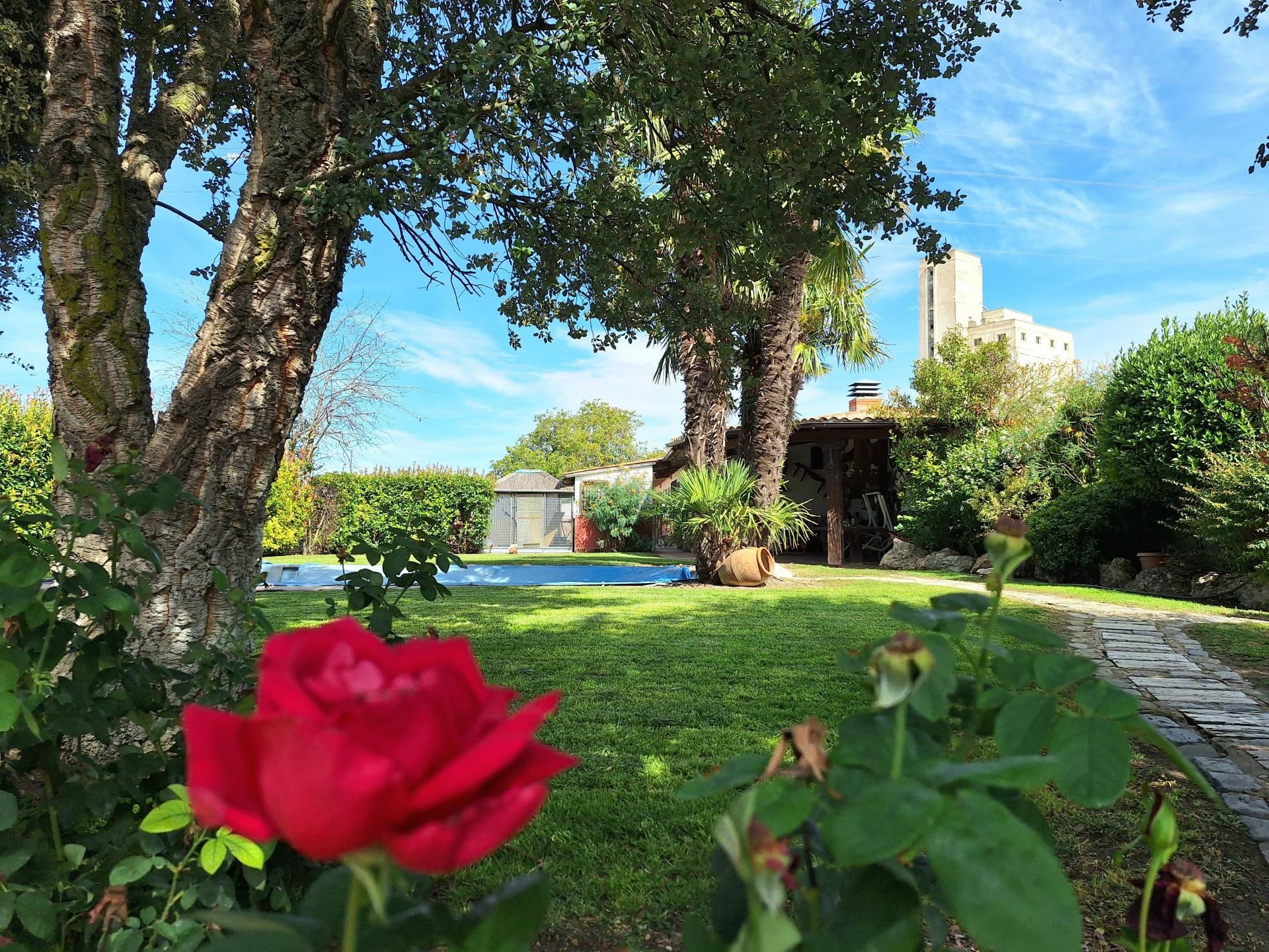 Garten von Country house zum verkauf in Peñaranda de Bracamonte