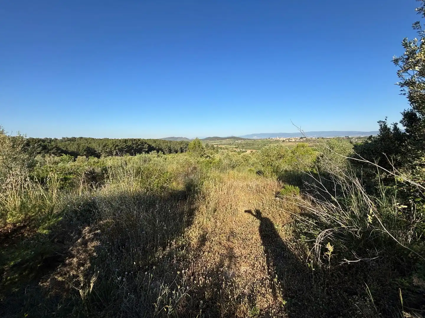 Rural land for sale in Camí de Rodonya 3, imagen 3