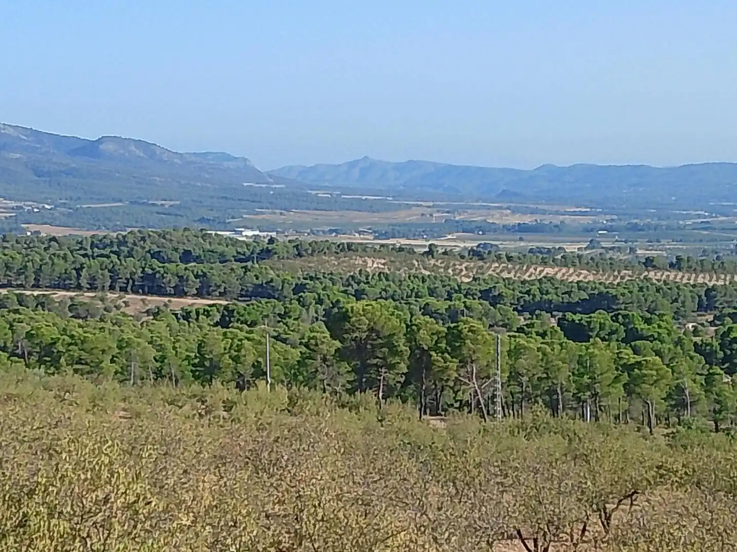 Terreny rústic en venda a N/A, imagen 69