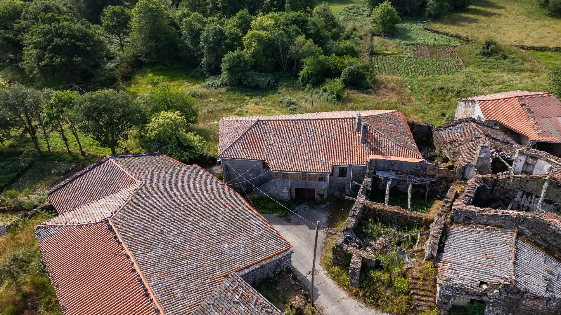 Vista exterior de Finca rústica en venta en Parada de Sil
