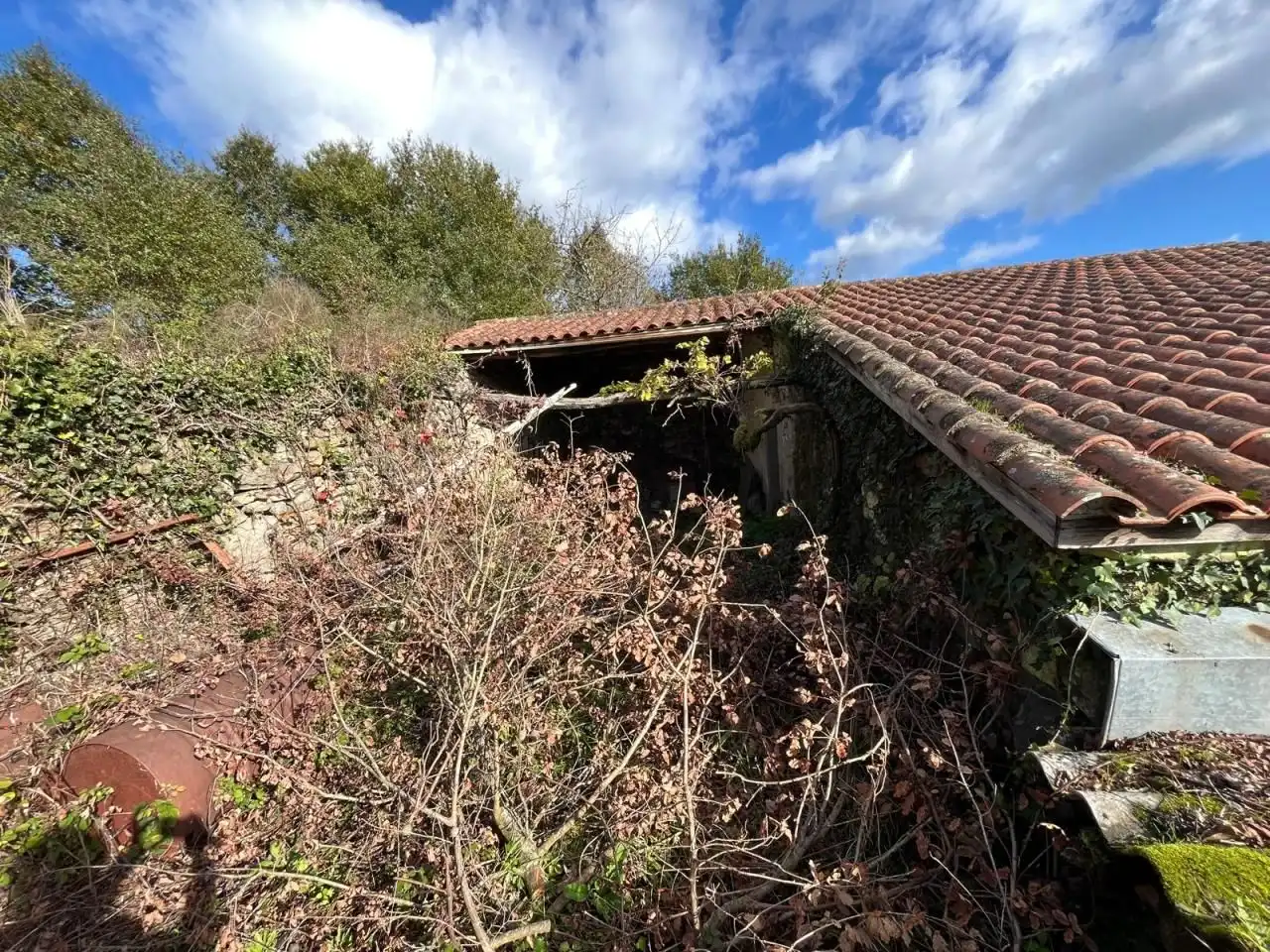 Casa o chalet en venta en San Rosendo