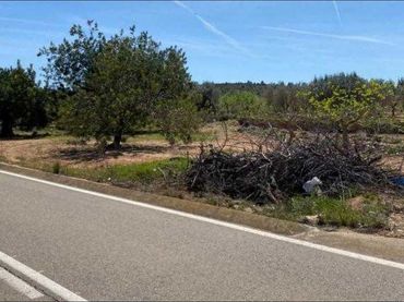 Terrain rustique à vendre à C-851