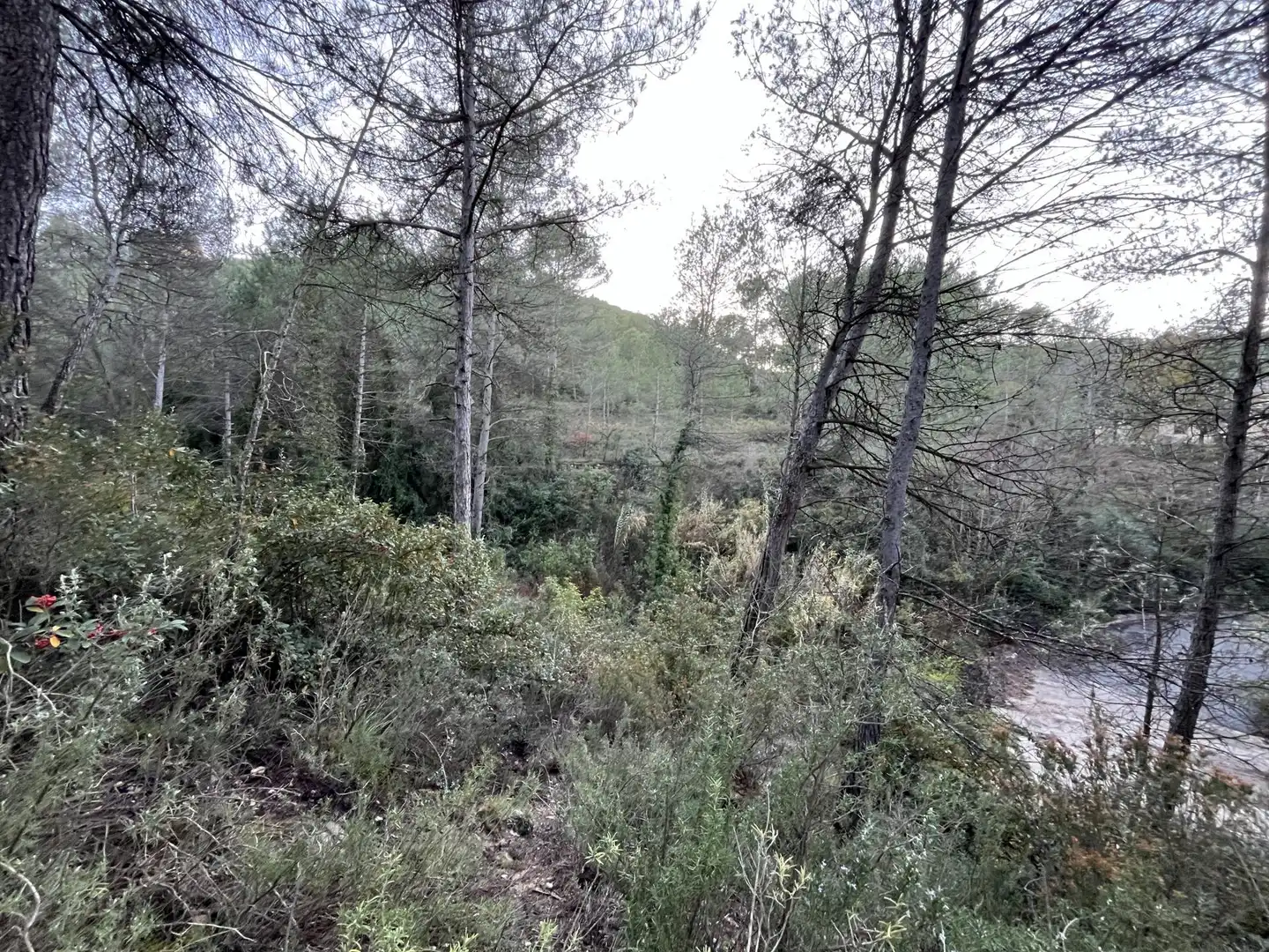 Wohnbaugrundstück zum Verkauf in de Can Prat 61, imagen 9