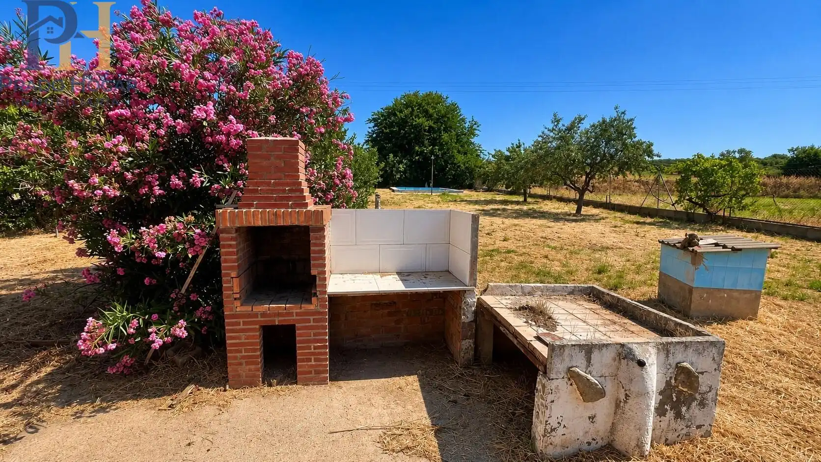Garden of Houses for sale in Cebolla  with Private garden and Swimming Pool
