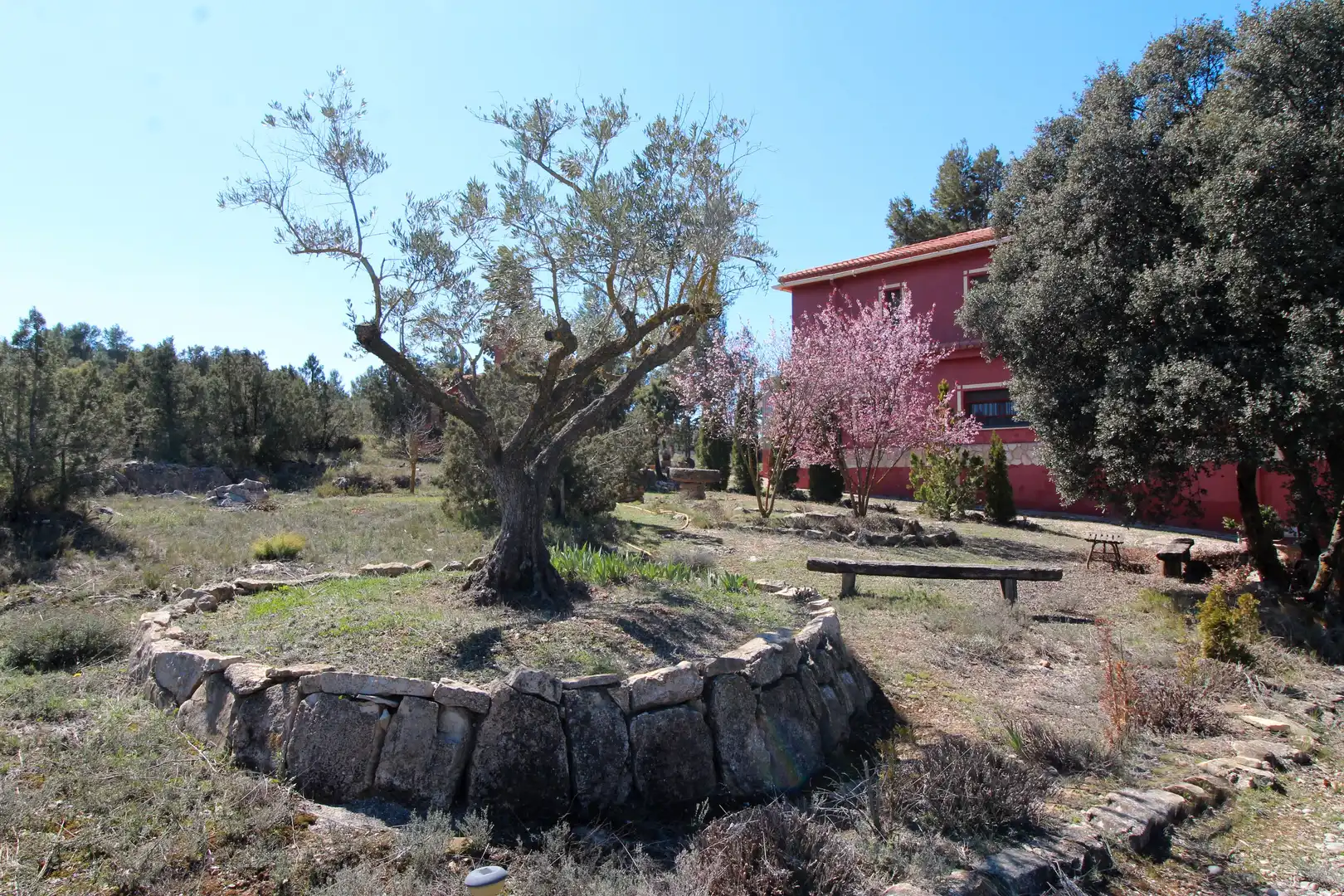 Jardín de Casa o chalet en venta en Sinarcas con Terraza
