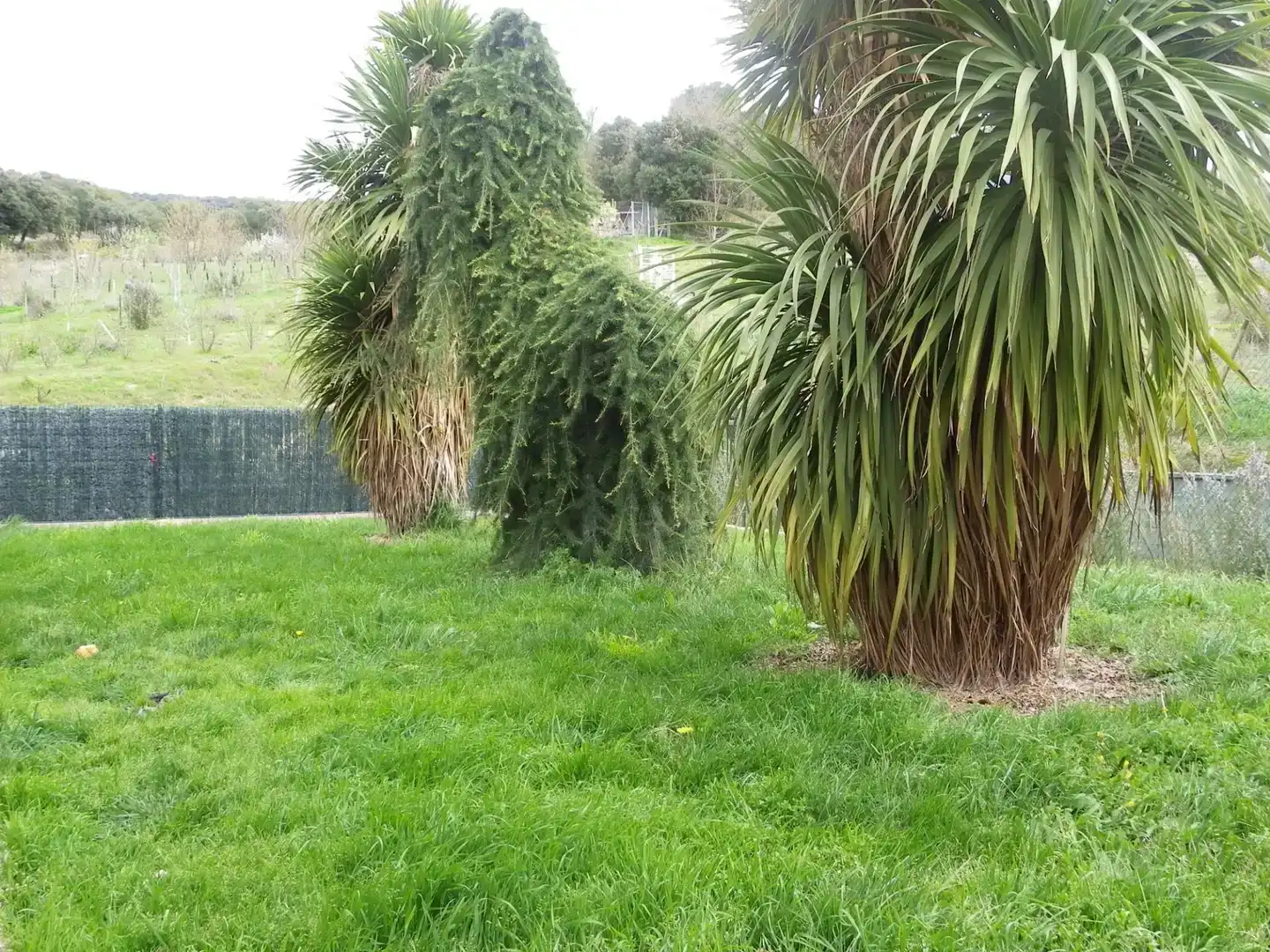 Jardí de Casa o xalet en venda en Erriberagoitia / Ribera Alta amb Balcó