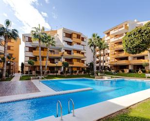 Vista exterior de Apartament en venda en Orihuela amb Jardí privat, Terrassa i Traster