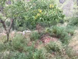 Wohnbaugrundstück zum Verkauf in Corbera de Llobregat, imagen 5