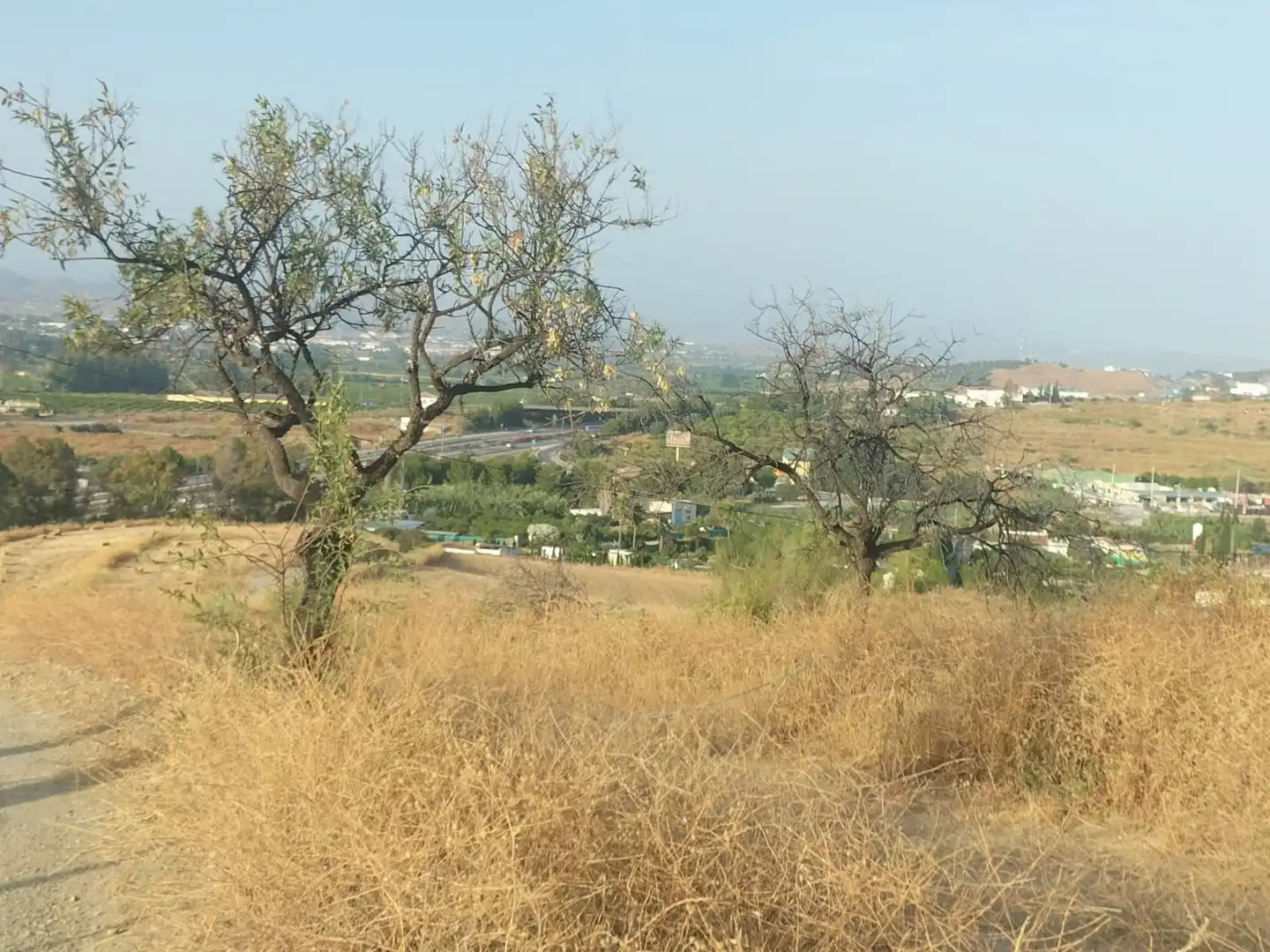 Terreno rustico in vendita a Cártama pueblo, imagen 5