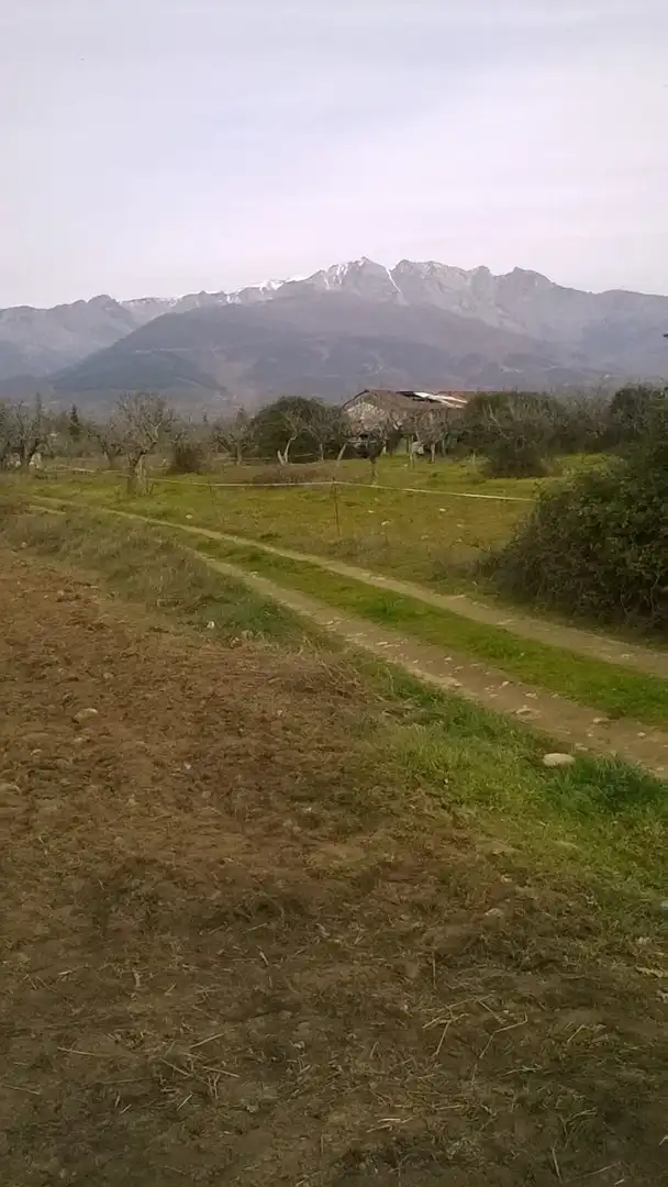 Terreni e lotti in vendita a Madrigal de la Vera, imagen 31