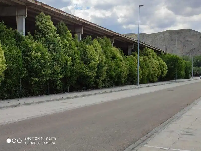 Außenansicht von Fabrikhallen zur Miete in Calatayud