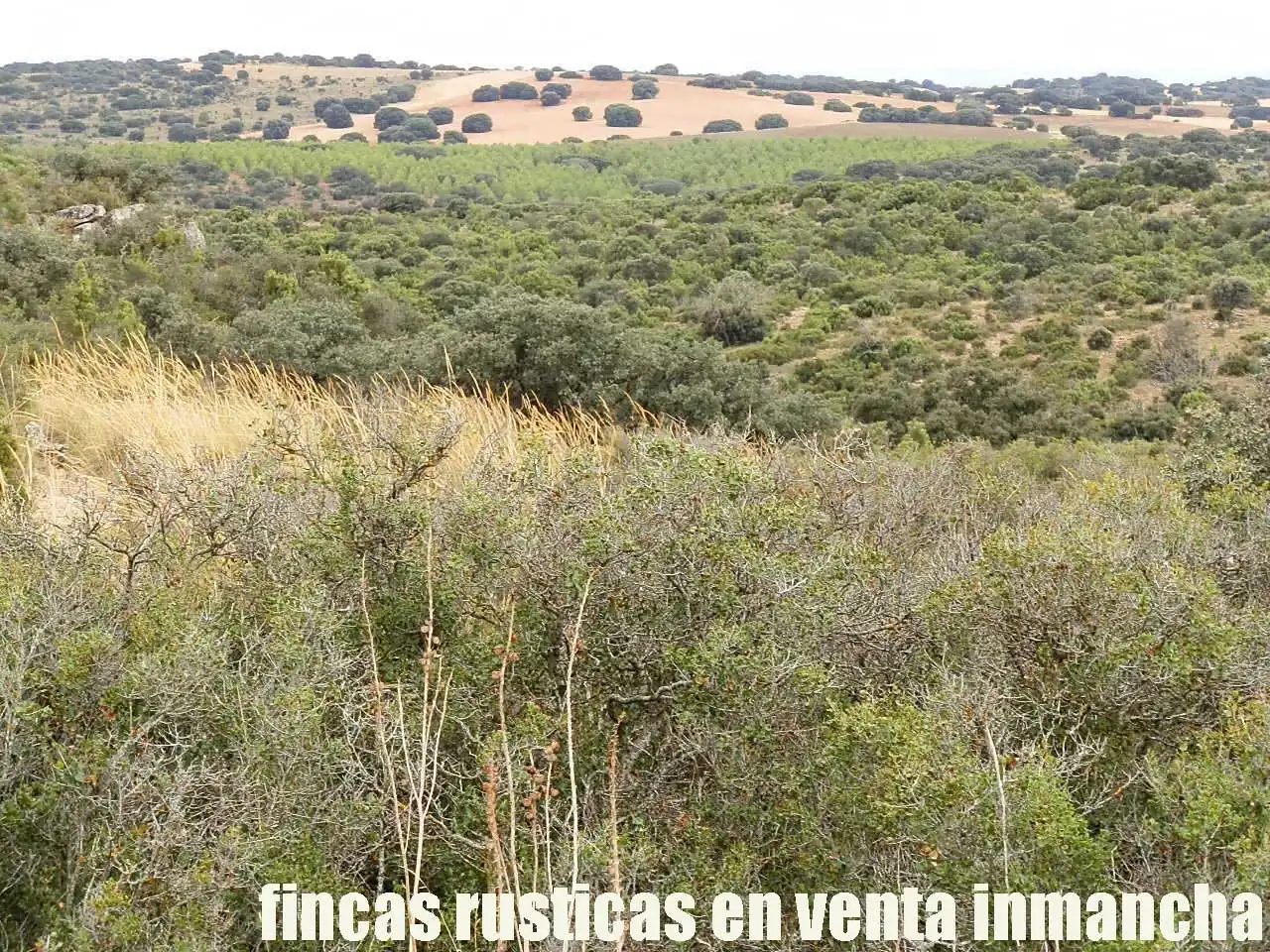 Terreni e lotti in vendita a Belmonte, imagen 14