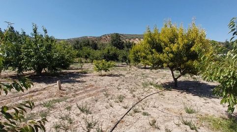 Foto 2 de Finca rústica en venda a Diseminado, Castillo de Locubín, Jaén