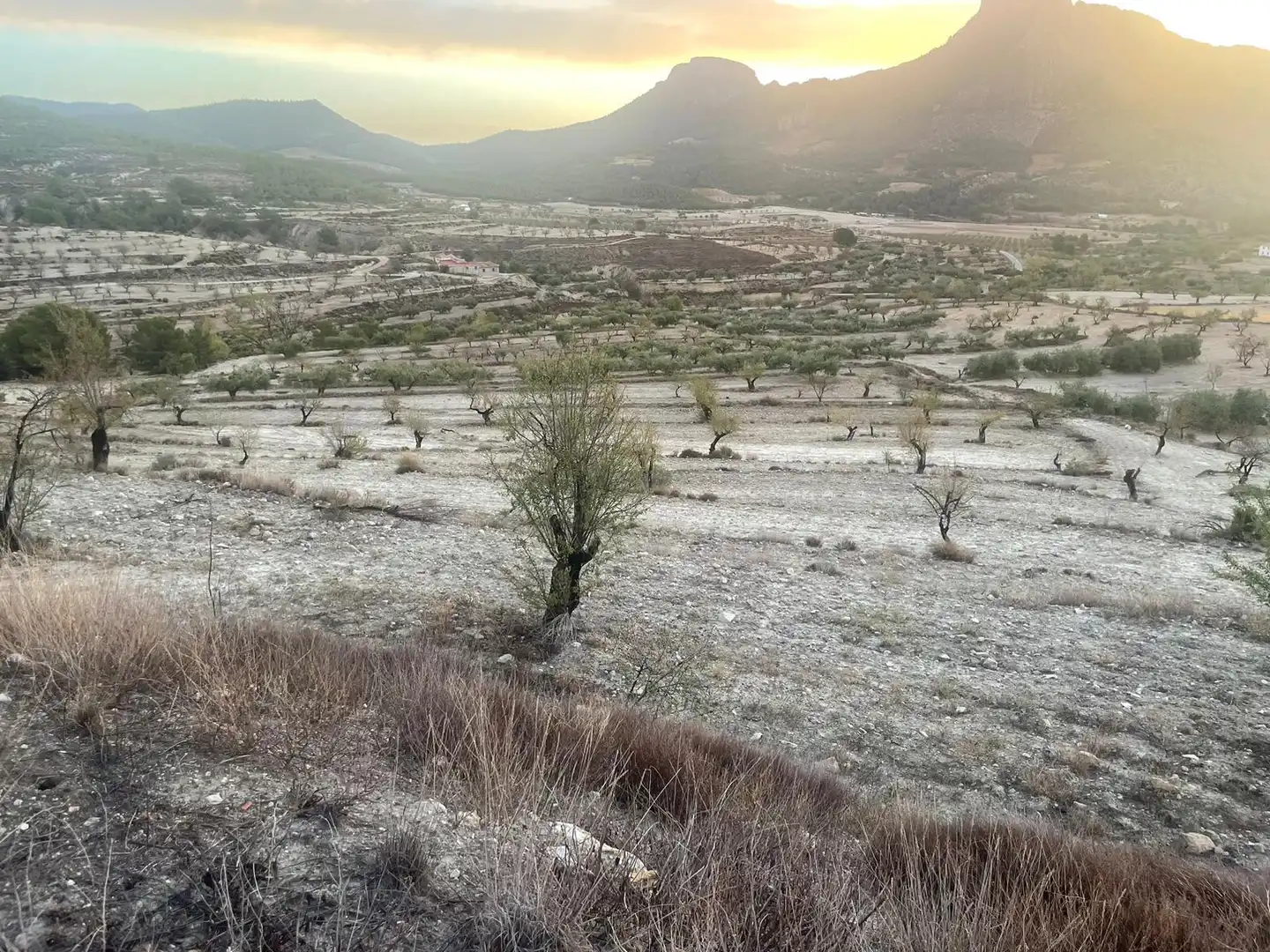 Terreny en venda en Vélez-Blanco