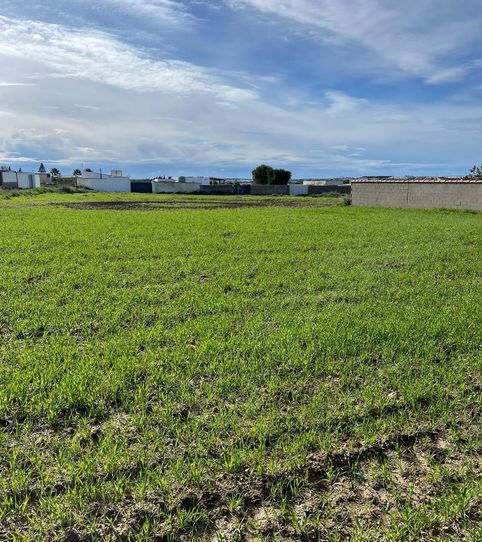 Photo 2 of Land for sale in Camino del Arco, Los Franceses – La Vega, Chiclana de la Frontera
