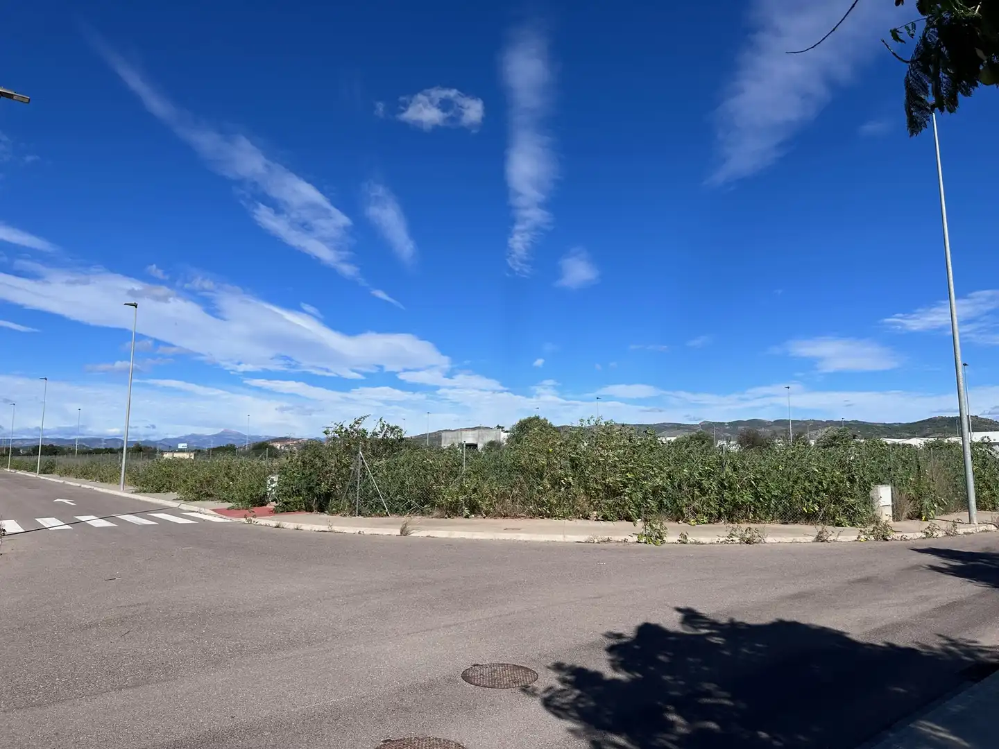 Industrial land for sale in Oeste, imagen 5