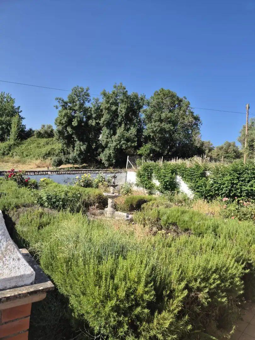Finca rústica en venda a Fregenal de la Sierra