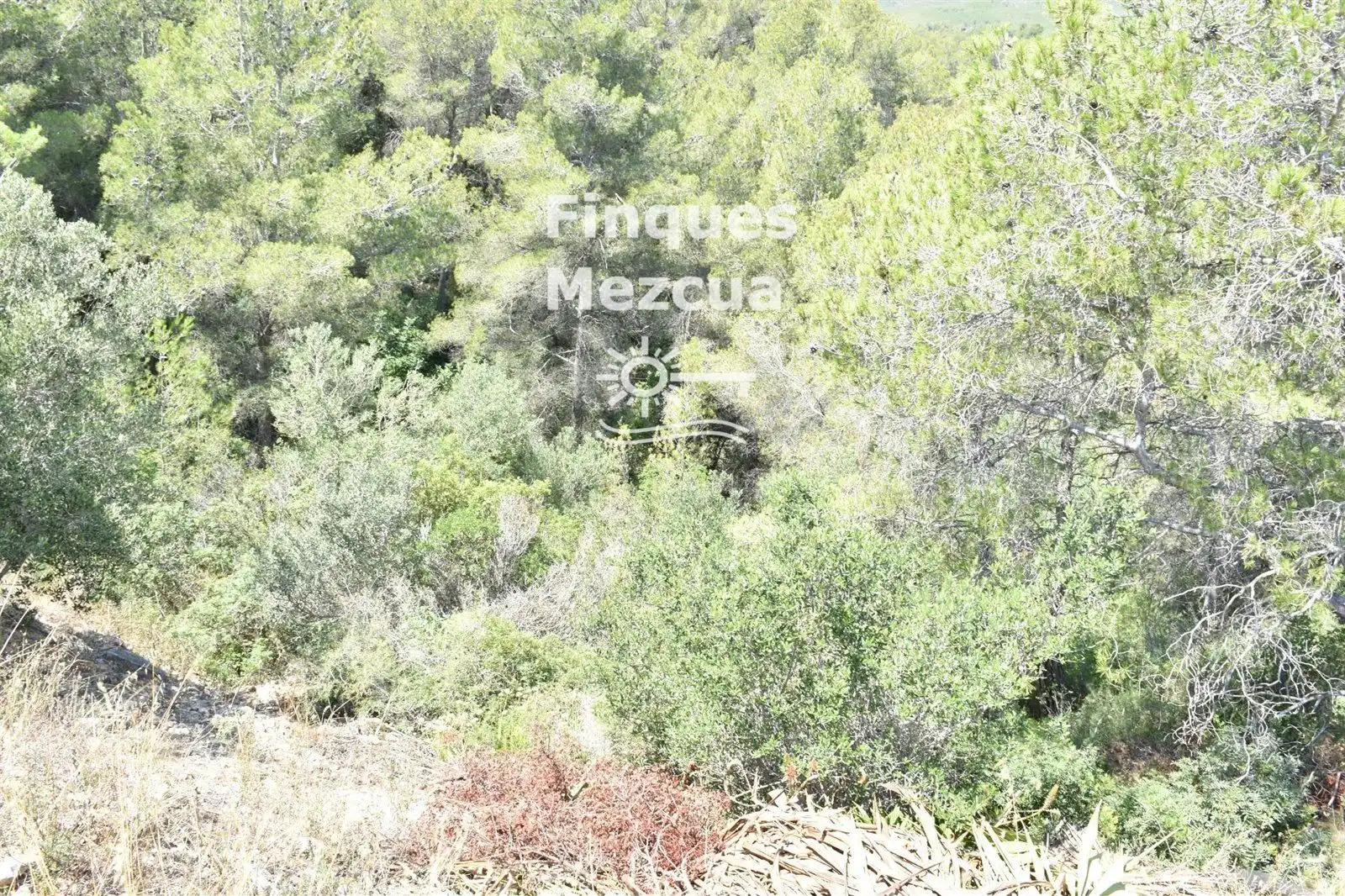 Rural land for sale in TER-UR CAN GORDEI, imagen 3