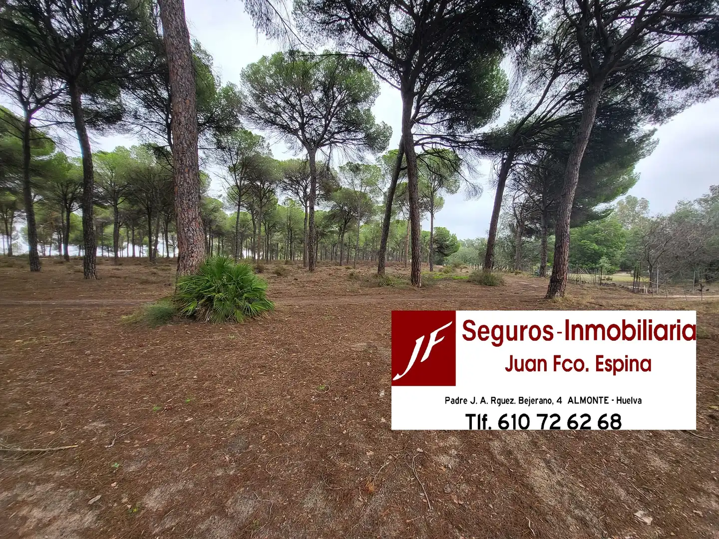 Finca rústica en venta en Almonte con Jardín privado, Terraza y Trastero
