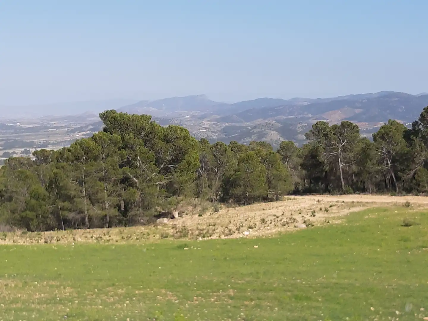 Terrain résidentiel à vendre à Pedanías Norte, imagen 2