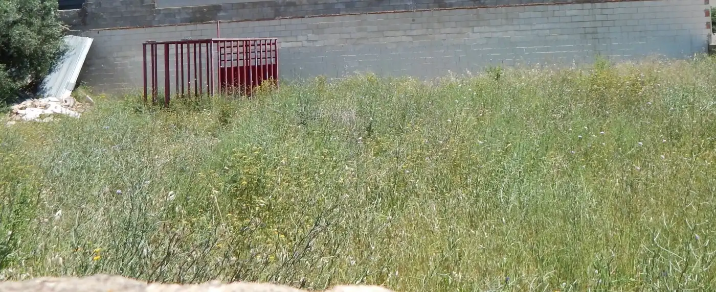 Terreny residencial en venda a Aielo de Malferit, imagen 2