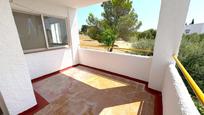 Jardí de Apartament en venda en Alcanar amb Jardí privat, Terrassa i Alarma