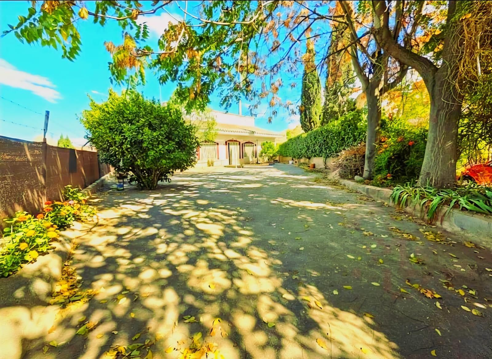 Exterior view of House or chalet for sale in Purullena  with Private garden, Terrace and Alarm