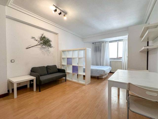 Estudio en Alquiler en C. de López de Hoyos, 10 en Castellana