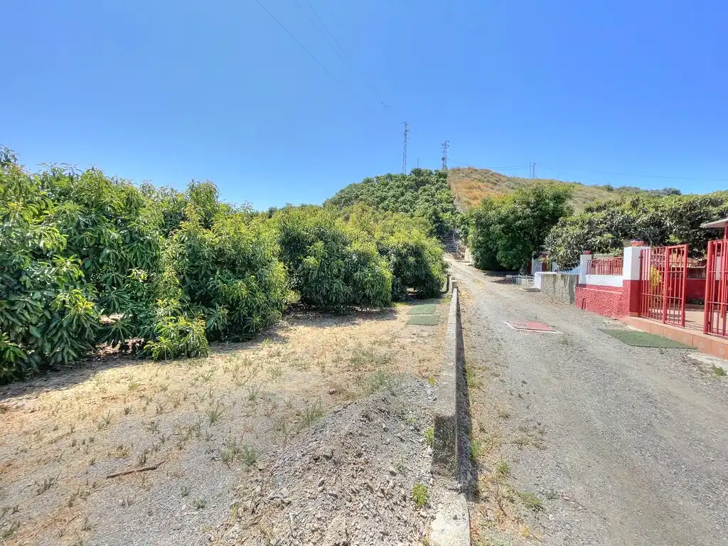 Vista exterior de Finca rústica en venda en Benamocarra amb Jardí privat, Moblat i Forn