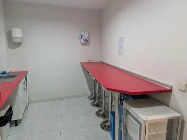 Fotografía 12