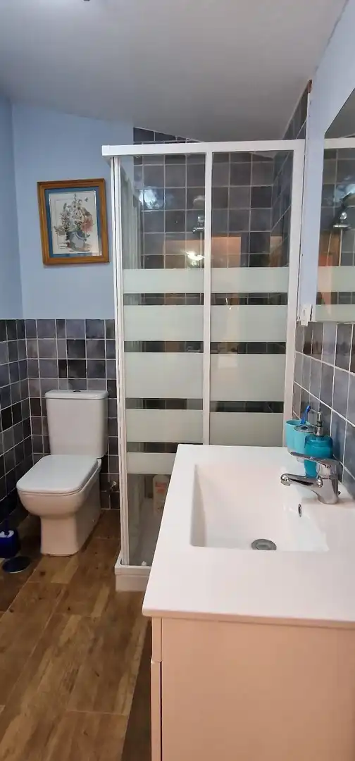 Baño de Casa o chalet en venta en Firgas con Jardín privado, Piscina y Amueblado